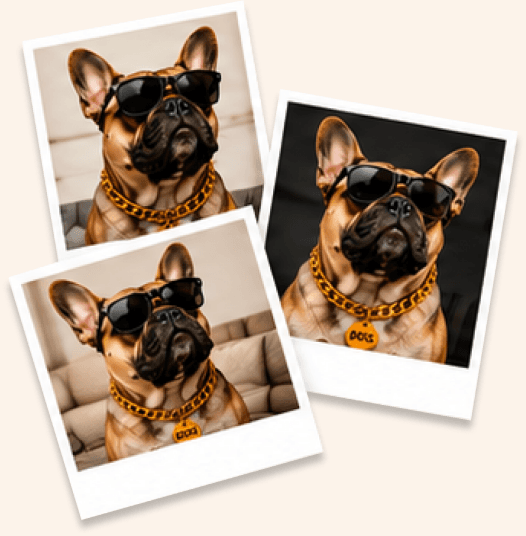 A stack of pet photos